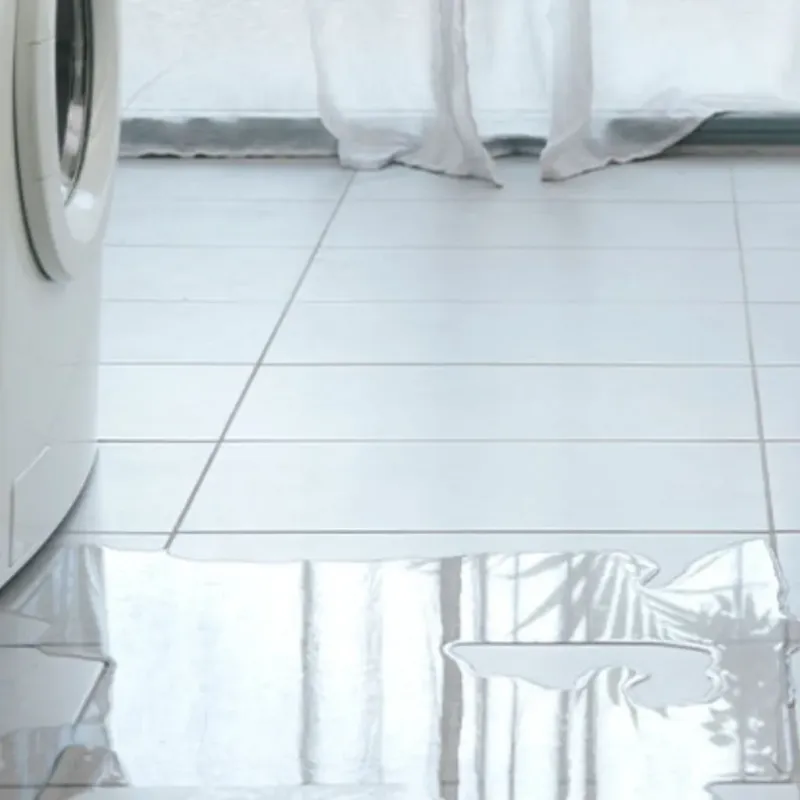 Appliance Leak Cleanup in Alpena, MI
