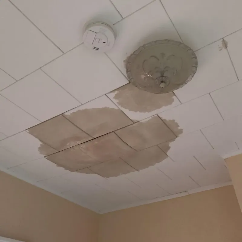 Ceiling Water Damage Repair in Alpena, MI