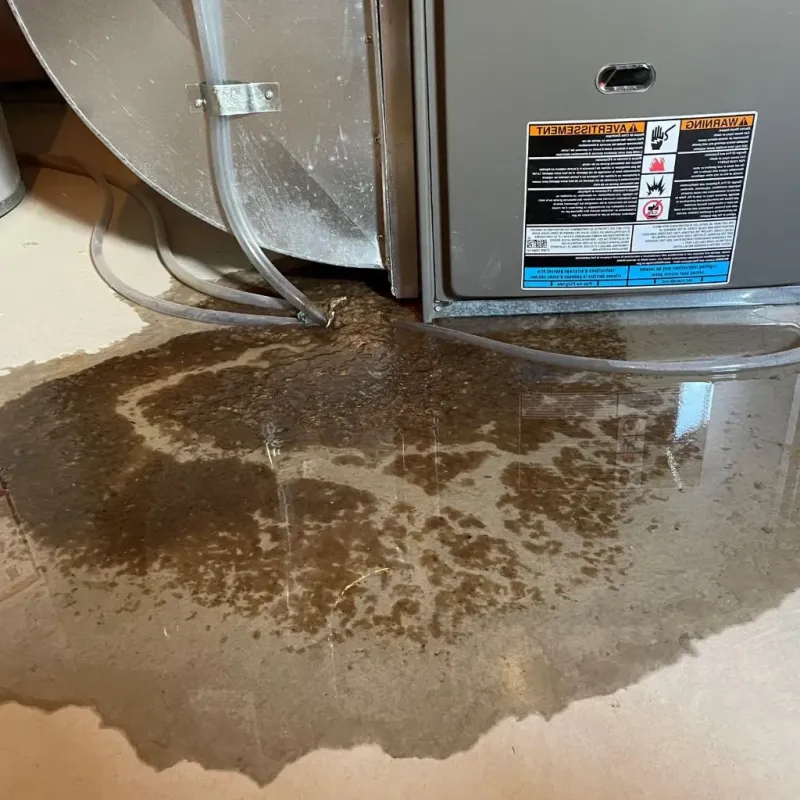 Pipe Burst and Leak Restoration in Alpena, MI
